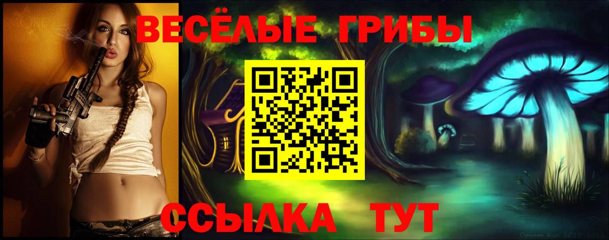 Галлюциногенные грибы Psilocybine cubensis Шадринск